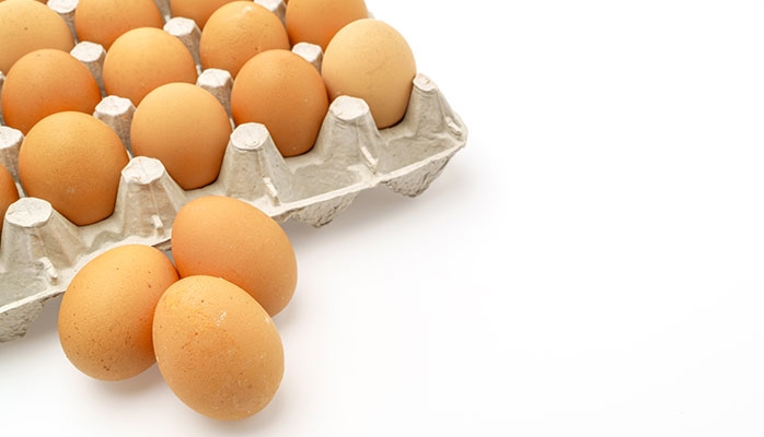 Directive IED : « Vers une baisse très importante de la production d’œufs en France dans les 5 ans à venir »