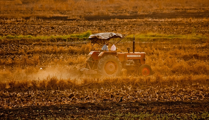 Gestion du domaine : bail rural et domaine public