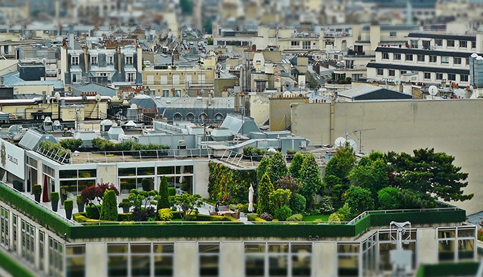 Prise en compte de la biodiversité dans l’urbanisme